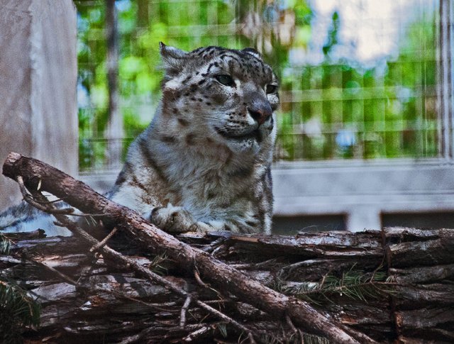 2012 Calgary Spring-100