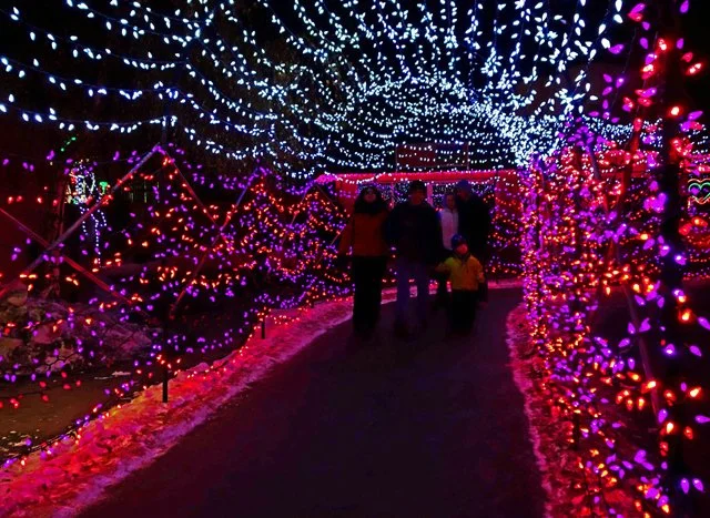 Zoolights-143.jpg
