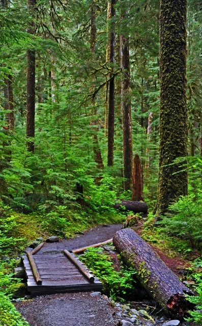 Sol Duc-054.jpg