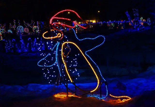 Zoolights-121.jpg