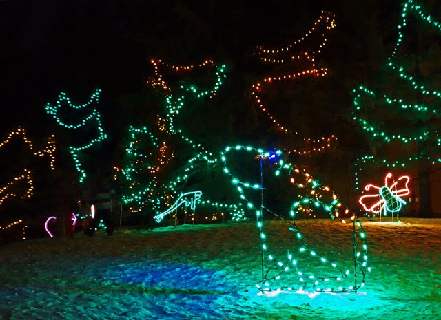 Zoolights-037.jpg