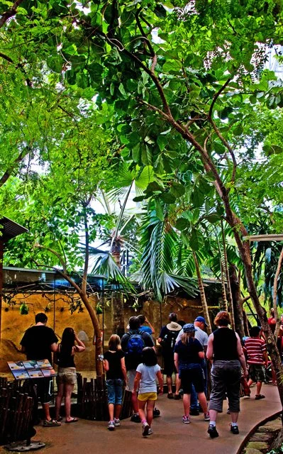 2011 Calgary Zoo-250