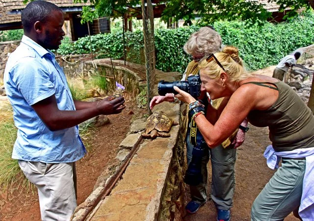 Jennifer Bartlett-020