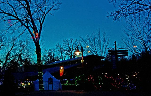 2012 Calgary Zoolights-50