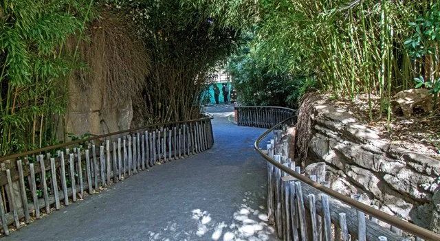 FW Zoo-139.jpg