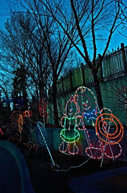 Zoolights-081.jpg