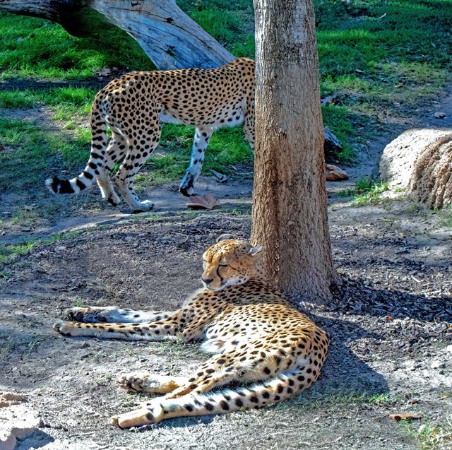 FW Zoo-079.jpg