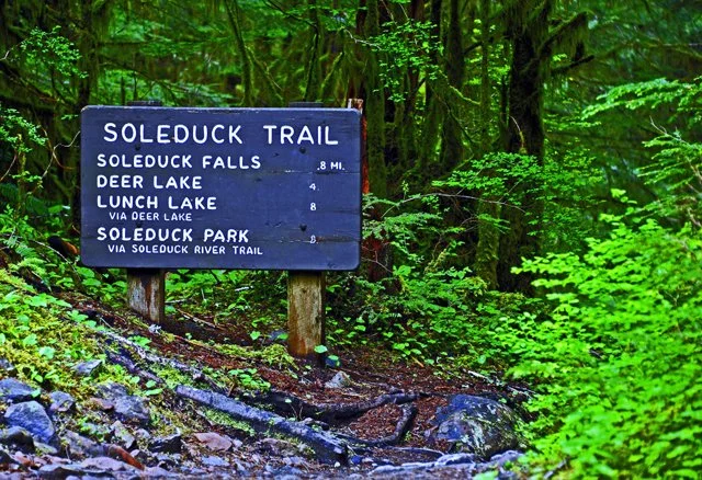 Sol Duc-007.jpg