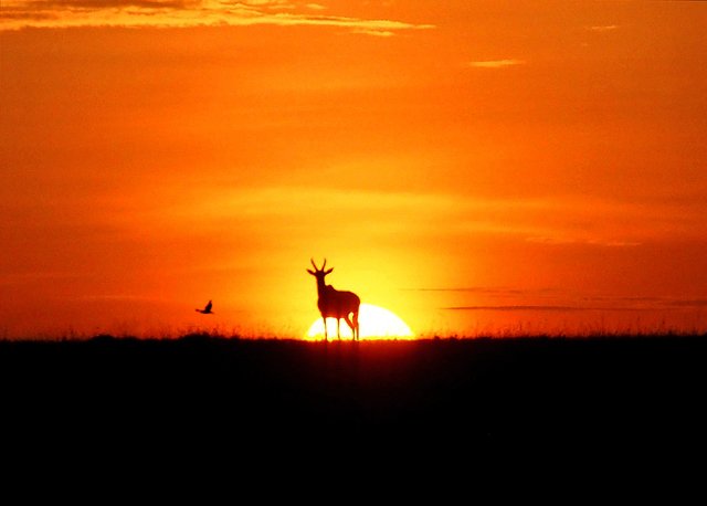 2019 Landscapes-088