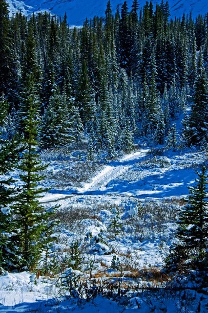 2012 Icefield Pkwy-150