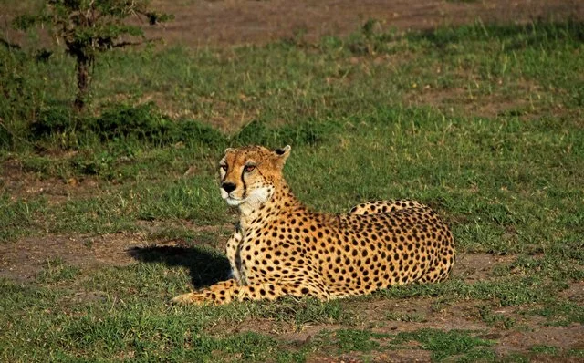Day 11-034.jpg