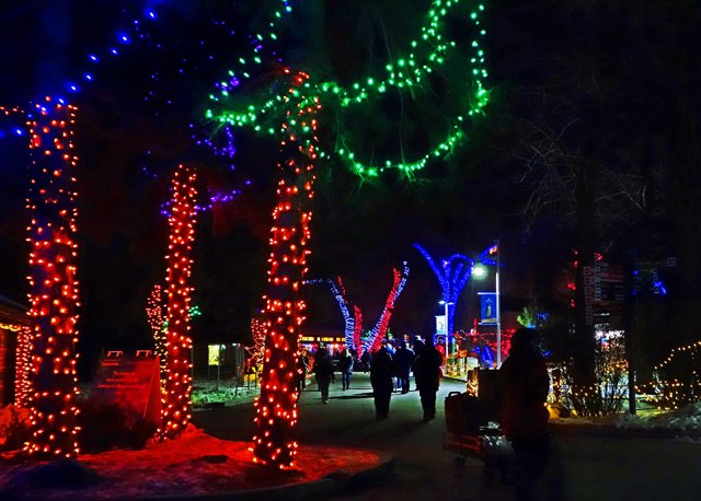 Zoolights-083.jpg
