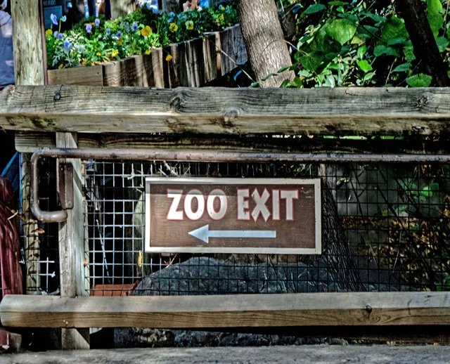 FW Zoo-159.jpg