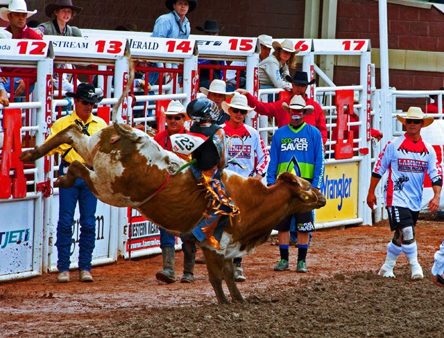 Rodeo-127.jpg