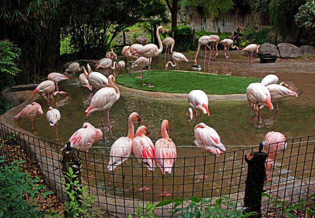 FWZoo-095.jpg