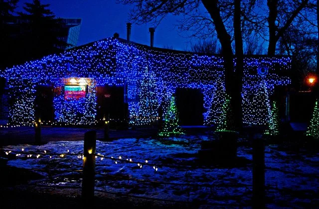 Zoolights-117.jpg