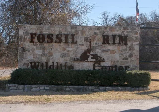 2003 Fossil Rim-001