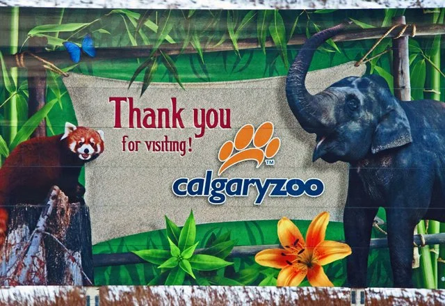 2012 Calgary Winter-230