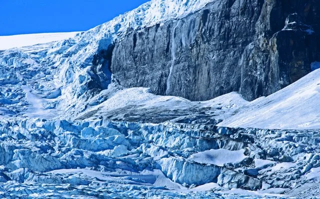 Icefield-178.jpg