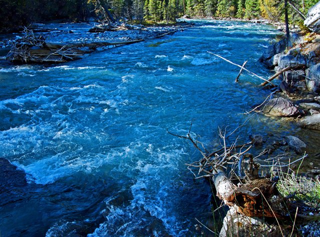 2012 Canyon Walk-390