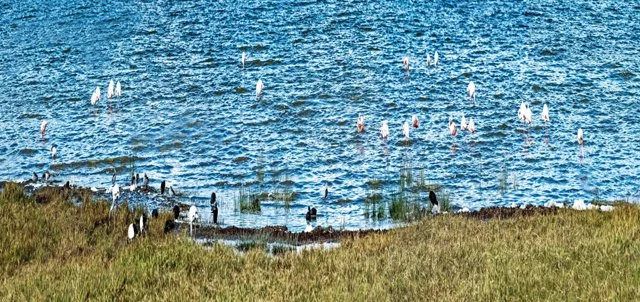 Day 07-074.jpg