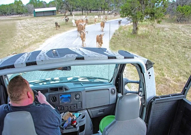Fossil Rim-217.jpg