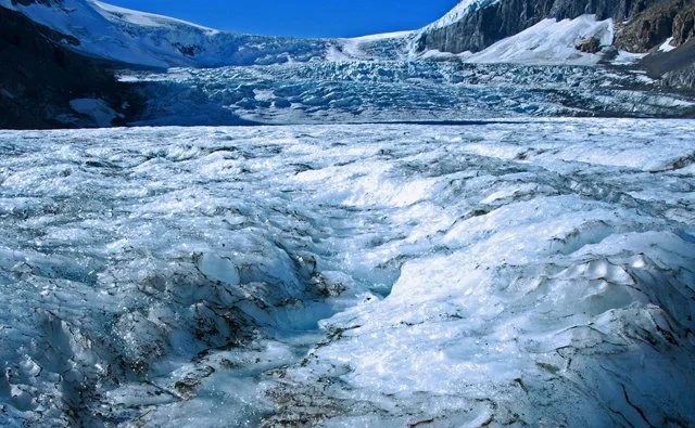 Icefield-165.jpg