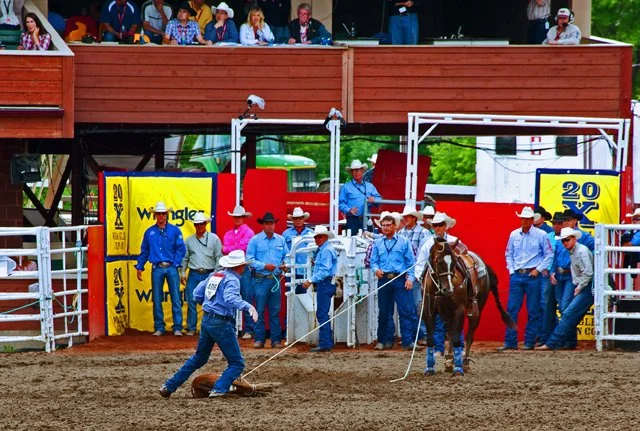 Rodeo-117.jpg