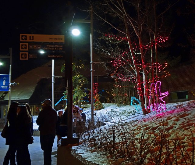 2013 Calgary Zoolights-020