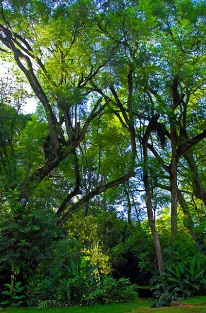 Day 01-057.jpg