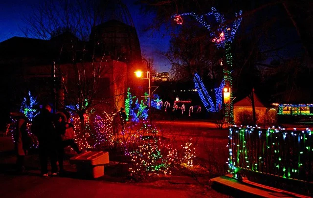Zoolights-032.jpg
