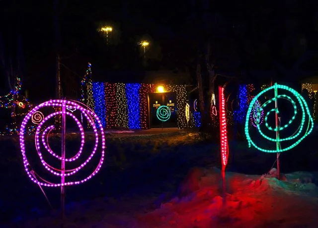 Zoolights-107.jpg