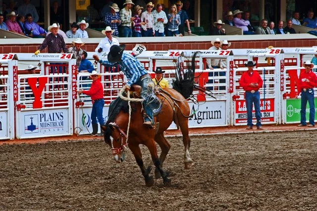 2011 Rodeo-090