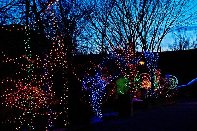 Zoolights-071.jpg