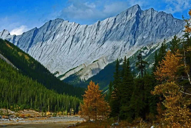 2011 Medicine Lk-130