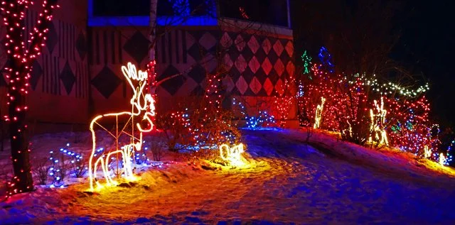 Zoolights-046.jpg