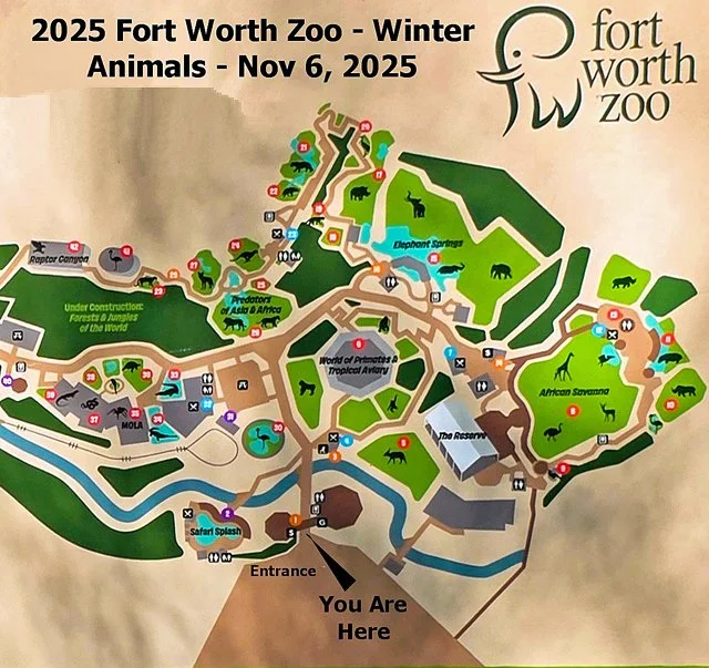 FW Zoo-004.jpg