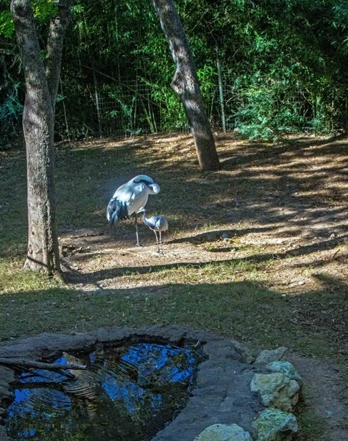 2024 FW Zoo-050