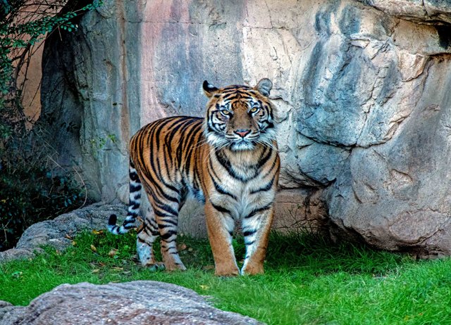 FW Zoo-065.jpg