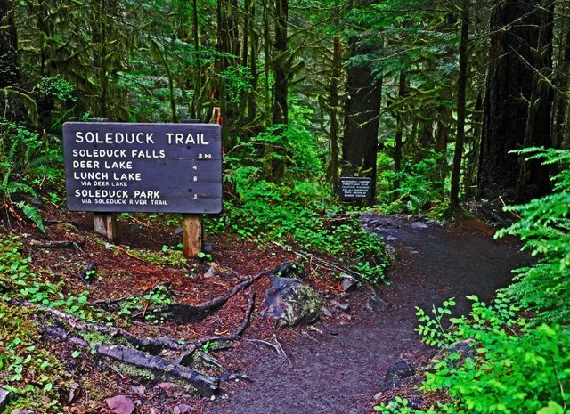 Sol Duc-006.jpg