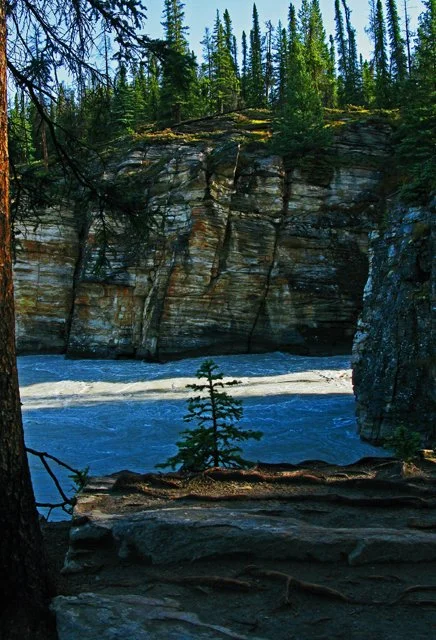 Athabasca-215.jpg