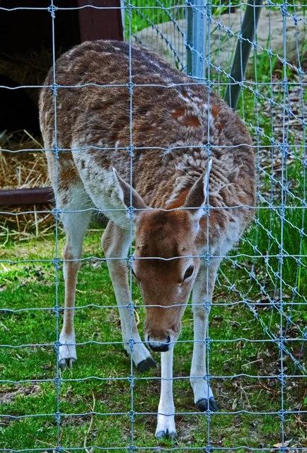 2012 Calgary Spring-070