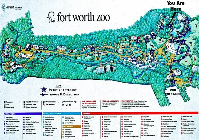 FWZoo-176.jpg