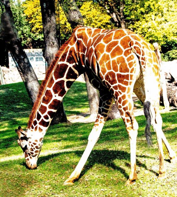 FW Zoo-118.jpg