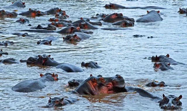 Day 09-071.jpg