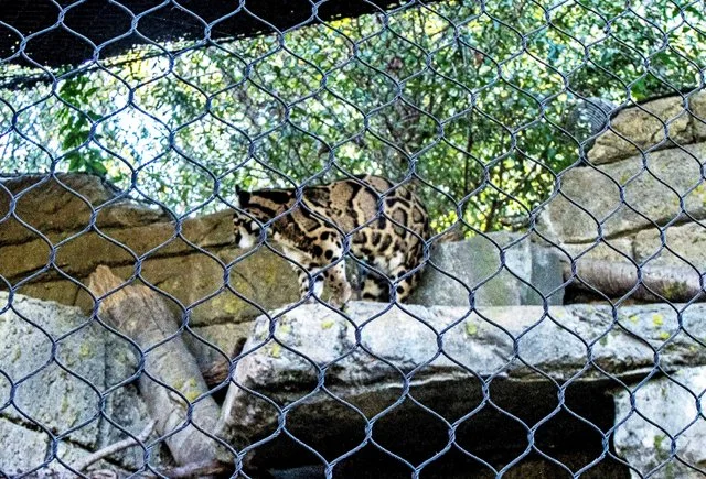 FW Zoo-039.jpg