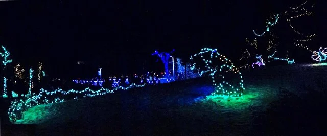 Zoolights-035.jpg