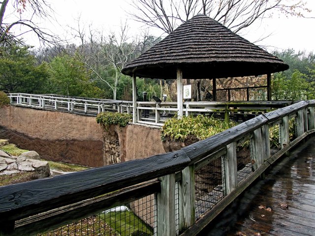 FWZoo-066.jpg