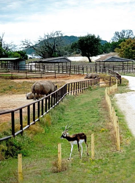 Fossil Rim-269.jpg