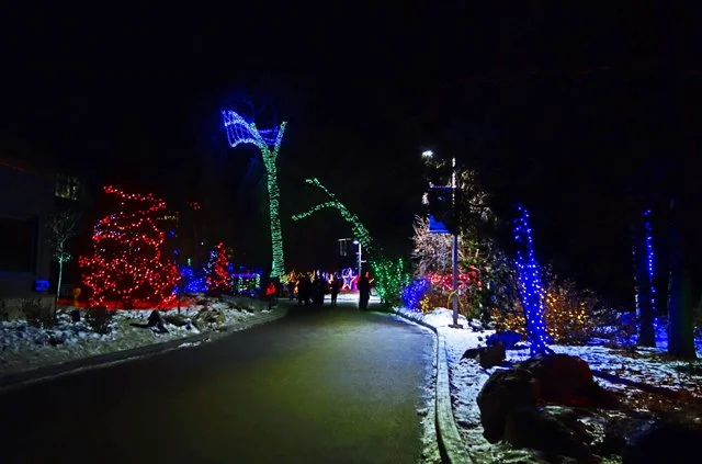 Zoolights-079.jpg